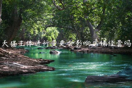 天貓主體進(jìn)行變更會(huì)影響店鋪經(jīng)營嗎